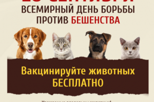 28 сентября - Всемирный день борьбы против бешенства